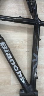 Bianchi Oetzi RC 碳纖維車架