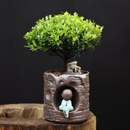 【LSG】小赤楠圆球形盆栽植物Syzyzium Buxifolium Ball P90 live plant with plastic pot | pokok Hiasan outdoor plant