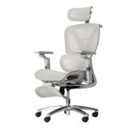 เก้าอี้สุขภาพ DESK SPACE STELLAR CHAIR สีเทา (1286106)