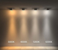 ไฟเส้น 5000k LED Striplight COB 12V 8mm CRI90 (รับประกัน 3 ปี) ยาว 5 เมตร รุ่นนี้ไม่เห็นเม็ดไฟ เนียน