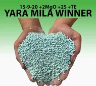 PAMPABULAKLAK,PAMPABUNGA ,PAMPALAGO NG HALAMAN AT GULAY 250G  YARA MILA WINNER FERTILIZER