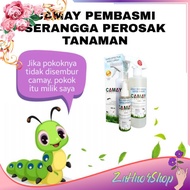 SPRAY SERANGGA PEROSAK CAMAY~ MEMBUNUH SERANGGA DIDALAM DAN DILUAR RUMAH