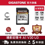 [GIGASTONE] 4K Photography Memory Card SD A1 V30 512G/256G/128G/64GB | Made in Taiwan/Monocular Came