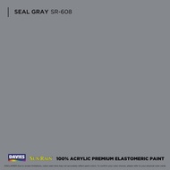 ☋ ◣ ⚾︎ ▌ DAVIES Sun & Rain Color Pods Paint (250ml) Seal Gray