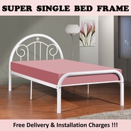 BECCA Single / Super Single Bed Frame with/without Plywood In White