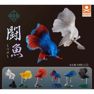 Gachapon Model Fighting Fish Betta