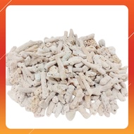 [1KG] Coral Stone Coral Bone Aquarium Batu Karang Sea Batu Hiasan Batu Karang Aquarium Fish Tank Fil