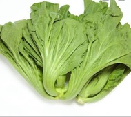 Ready Sawi pahit/Jabung Berat.1kg