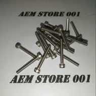 Bolt L M4 x 30 (3cm) stainless 304 M4 Bolt M4 Screw