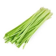 Dragon Chives 青龙菜
