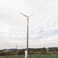 Home 1000W 24V 48V Horizontal Axis Wind Turbine Generator 1KW With MPPT Hybrid Controller Off Grid I