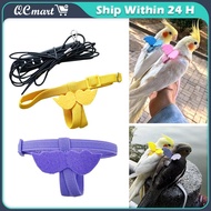 Bird leash, Pet Parrot Bird Harness and Leash Flying Rope Straps Outdoor Bird Flying Harness
