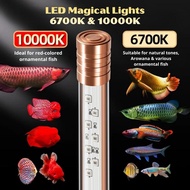 [QIAN YU] LED Magical Lights 6700K & 10000K - Enhancing LED Aquarium Light 增艳灯