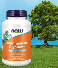 แมกนีเซียม ไกลซิเนต NOW Foods Magnesium Glycinate 180 Tablets