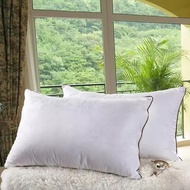 bantal hotel