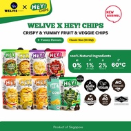 [BUNDLE OF 6] FREEZE DRIED FRUIT & VEGGIE CHIPS/HEYCHIPS/ Halal/ Vegan Chips/ No Added sugar/Broccol