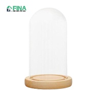 Dome Cloche Bell Jar Wooden Base Transparent Cover Showcase Display Case