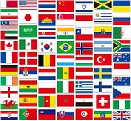Dwenarry 66 Pack Flags of The World Stickers - Premium Country Flag Stickers Set - Durable World Fla
