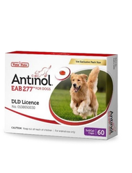 Antinol สุนัข อาหารเสริมบำรุงข้อ ลดอักเสบ ของ แคปซูล(หมดอายุ08/2025)แพ็คเกจใหม่ อาหารเสริมบำรุงข้อ ข้ออักเสบ 1 กล่องบรรจุ 60 เม็ด