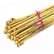 ROTAN SIMPUL rotan mengaji rotan lentur rotan budak rotan murah  rotan untuk budak sesuai digunakan 