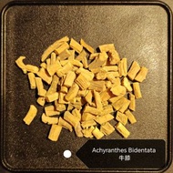 [推廣價]拾號茶-締造豐盈彈力烏髮（法國玫瑰）東羽號藥膳普洱保健花茶包[16茶包裝]
主要成份：何首烏丶當歸丶牛滕丶補骨脂丶菟絲子丶女貞子丶山茱萸丶澤瀉丶丹皮丶桂枝丶山藥丶熟地丶旱蓮草丶枸杞子丶法國玫