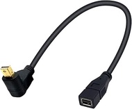 Duttek 90 Degree Mini DisplayPort Extension Cable 1ft/30cm, UP Angled Mini Displayport Male to Femal