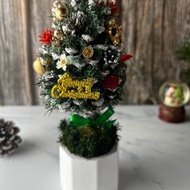 2F【松果聖誕樹】