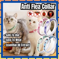 CCPet Kolar Ubat Kutu Kucing Pet Anti Flea Collar Rantai Kutu Kucing Anti Kutu Flea Killer Kolar Ant