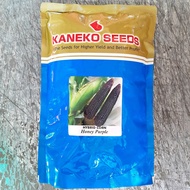 HONEY PURPLE HYBRID WAXY CORN SEEDS (1 KILO) KANEKO SEEDS