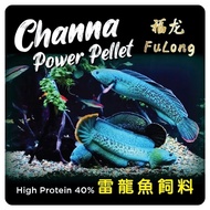 ✨FuLong✨MAKANAN IKAN CHANNA HIGH QUALITY SESUAI UNTUK IKAN CHANNA,IKAN KELISA,IKAN LUOHAN,IKAN OSCAR （适合雷龙鱼，金龙鱼，罗汉鱼，地图鱼）