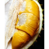 Grade A Musang King Durian Fresh Fruits free cooler bag