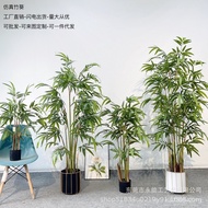 Hotel Simulation Bamboo Aoi Simulation Fake Green Plant Potted Plant Decoration Decoration Artificia