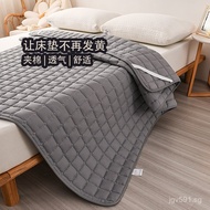Washable Mattress Protector Comfortable Special Mattress Pad Five-Star Bed Protector Wholesale Mattr