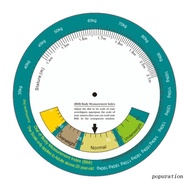 POP Portable Wheel Calculator BMI Body Mass Index Wheel Calculator Single Sided