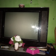 tv tabung 21 inch