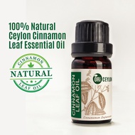 Ceylon Cinnamon Leaf Essential Oil - Kayu Manis Ceylon Essential Oil
