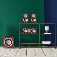 Audiovector QR Wall SE Speaker | Special Edition | Handcrafted Denmark