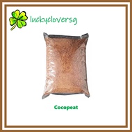 [4L, 8L] Cocopeat / Coconut Peat / for Planting Gardening / Mixing into Soil