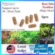 Aquatic Live Aquarium Water Plant Low Level Aquascape Java Fern Moss Narrow Leaf Pokok Tank 🌊READY STOCK🌊| Perfect Ocean