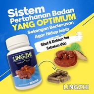 Premium Capsules LINGZHI (50biji) Penawar Pelbagai Penyakit Herba Tradisional | kunyit hitam | sakit