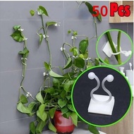 5Pcs/set Plastic Invisible Wall Vines Fixture Wall Sticky Hook Self Adhesive Vines Fixing Clip Vines