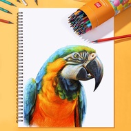 得力Deli可擦拭彩色鉛筆/7073-12/12色/24色/36色/48色