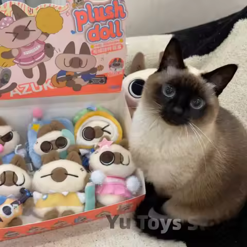 New Azuki Can Azukisan Campus Series Plush Kawaii Blind Box Toys Mystery Box Plush Pendant Surprise 