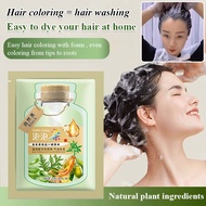 Plant Extract Hair Coloring Cream, Bubble Plant Hair Dye,Natural Plant Hair Dye Shampoo, Plant-Based Hair Coloring