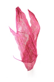 Annebra บอดี้สูท ผ้าลูกไม้ Lace Bodusuit รุ่น AD5-067