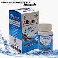 BEST ALBUMIN FIT CAPSULES ALBUMIN CAPSULES SNAKEFISH CAPSULES WOUND MEDICINE ACCELERATE WOUND HEALIN
