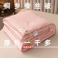 Genuine Goods Silk Quilt 100% Mulberry Silk Summer Cool Air Conditioner Quilt Double Quilt for Sprin