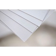Italian Canson Paper 300gsm A3/ A4/ A5 size [Go Vap Painting]