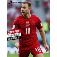 SFS Hummel Genuine 2022 World Cup Denmark Home Jersey Player Version Short Sleeve Ericson Football J