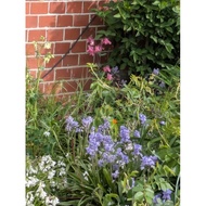 TP-LINK TL-POE2412G POE ADAPTER